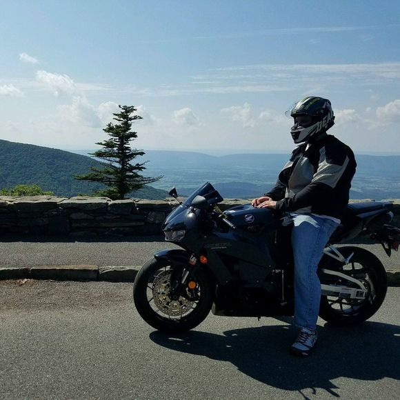 Meet your Posher, Daniel - Picture 1 of 1